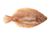 Load image into Gallery viewer, Cornish Lemon Sole - Marisco Fish Ltd Cornwalls finest seafoodsFish