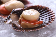 Load image into Gallery viewer, Fresh Cornish Scallops - Marisco Fish Ltd Cornwalls finest seafoodsShellfish