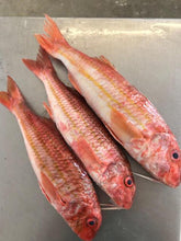 Load image into Gallery viewer, Fresh Red Mullet - Marisco Fish Ltd Cornwalls finest seafoodsFish