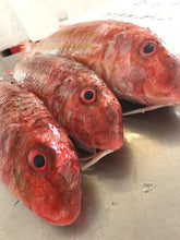 Load image into Gallery viewer, Fresh Red Mullet - Marisco Fish Ltd Cornwalls finest seafoodsFish