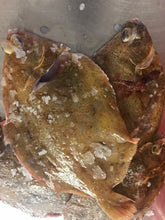 Load image into Gallery viewer, Cornish Lemon Sole