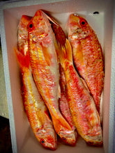 Load image into Gallery viewer, Fresh Red Mullet