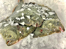 Load image into Gallery viewer, Fresh Cornish Turbot
