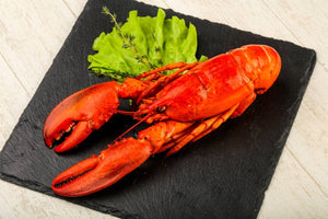 Cooked Lobster - Marisco Fish Ltd Cornwalls finest seafoodsShellfish