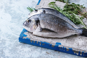 Cornish Black Bream Fish - Marisco Fish Ltd Cornwalls finest seafoodsFish