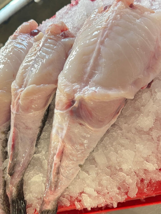 Cornish Monkfish Tails - Marisco Fish Ltd Cornwalls finest seafoodsFish