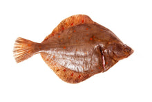 Load image into Gallery viewer, Cornish Plaice - Marisco Fish Ltd Cornwalls finest seafoodsFish
