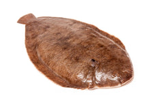 Load image into Gallery viewer, Dover Sole - Marisco Fish Ltd Cornwalls finest seafoodsFish
