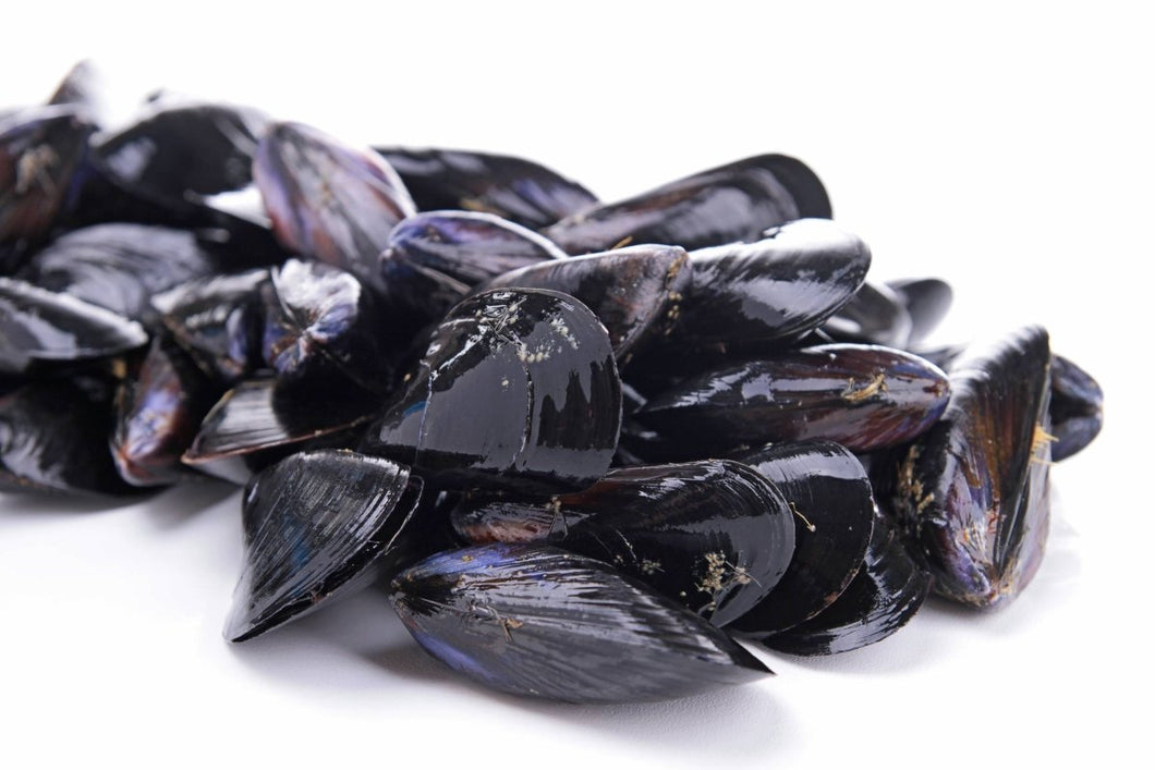 Fresh cornish Mussels (Per Kilo) - Marisco Fish Ltd Cornwalls finest seafoodsShellfish