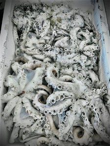 Fresh Cornish Octopus - Marisco Fish Ltd Cornwalls finest seafoodsOctopus