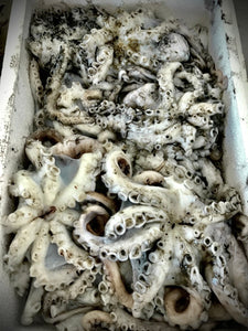 Fresh Cornish Octopus - Marisco Fish Ltd Cornwalls finest seafoodsOctopus