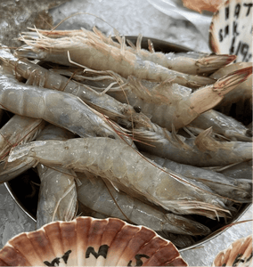 Fresh Raw King Prawns (10 prawns) - Marisco Fish Ltd Cornwalls finest seafoodsShellfish