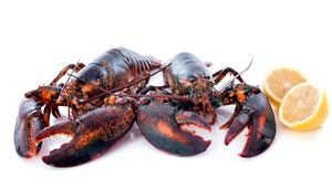 Fresh Cornish Lobster
