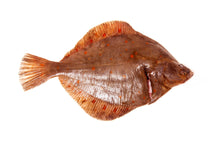 Load image into Gallery viewer, Cornish Plaice
