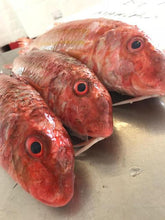 Load image into Gallery viewer, Fresh Red Mullet
