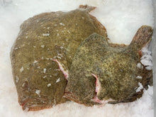 Load image into Gallery viewer, Fresh Cornish Turbot
