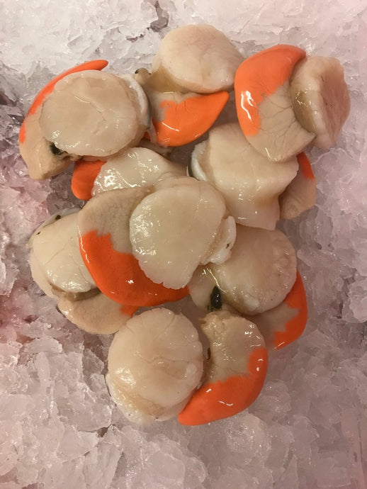 Fresh Cornish Scallops - Marisco Fish Ltd Cornwalls finest seafoodsShellfish