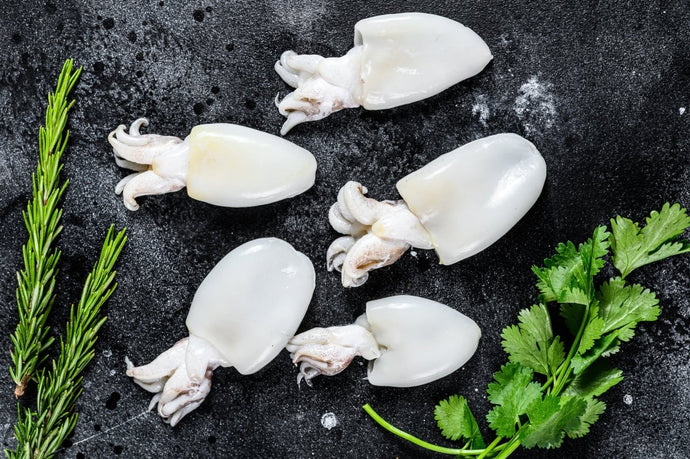 Fresh Cuttlefish - Marisco Fish Ltd Cornwalls finest seafoodsFish