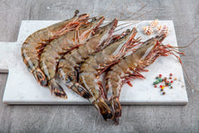 Load image into Gallery viewer, Fresh Raw King Prawns (10 prawns) - Marisco Fish Ltd Cornwalls finest seafoodsShellfish
