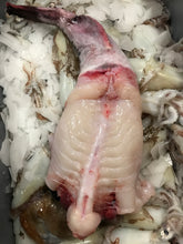 Load image into Gallery viewer, Cornish Monkfish Tails

