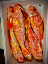Load image into Gallery viewer, Fresh Red Mullet
