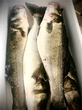 Load image into Gallery viewer, Fresh Cornish Sea bass
