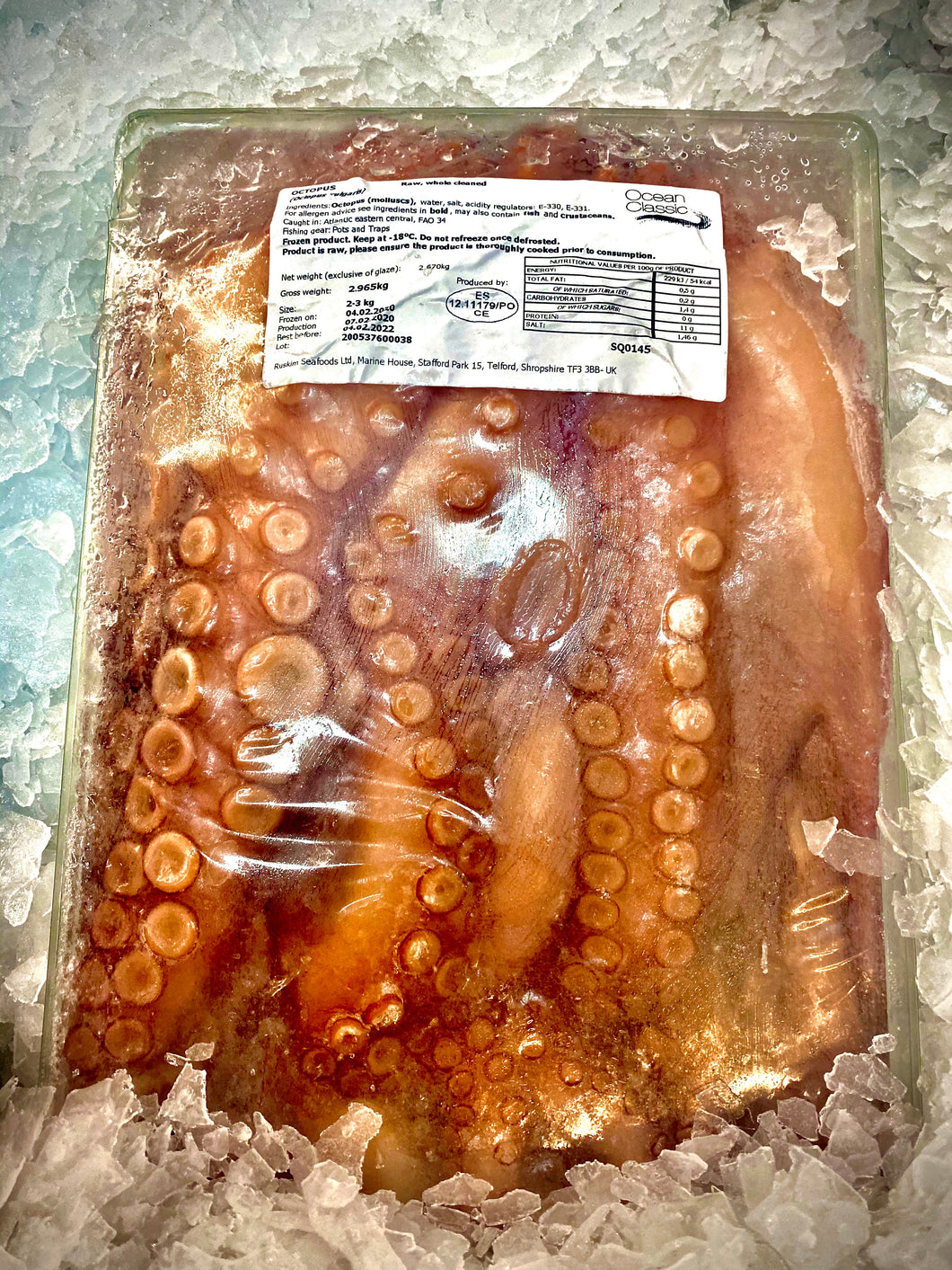 Pulpo luxury giant octopus (raw)