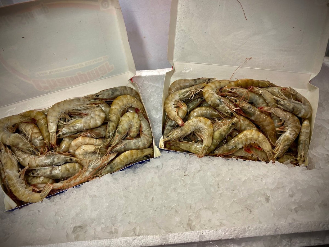 Platinum Raw King Prawns (per Kg) - Marisco Fish Ltd Cornwalls finest seafoodsfrozen