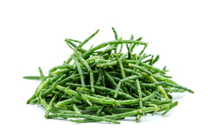 Samphire seaweed - Marisco Fish Ltd Cornwalls finest seafoodsLocal seaweed